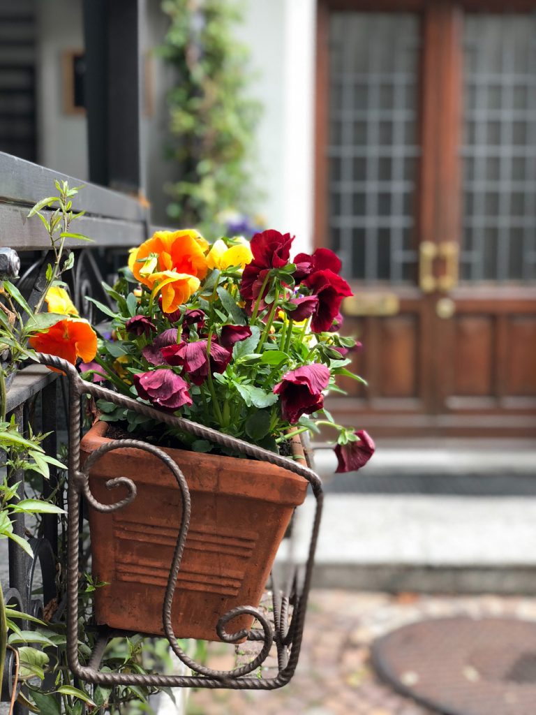 Composition florale en bordure de fenêtre