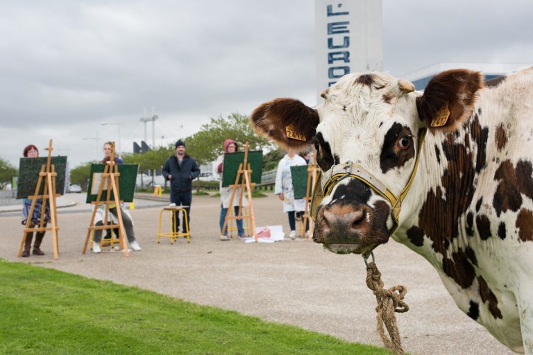 Une vache regarde l'objectif alors qu'elle se fait représenter par plusieurs artistes