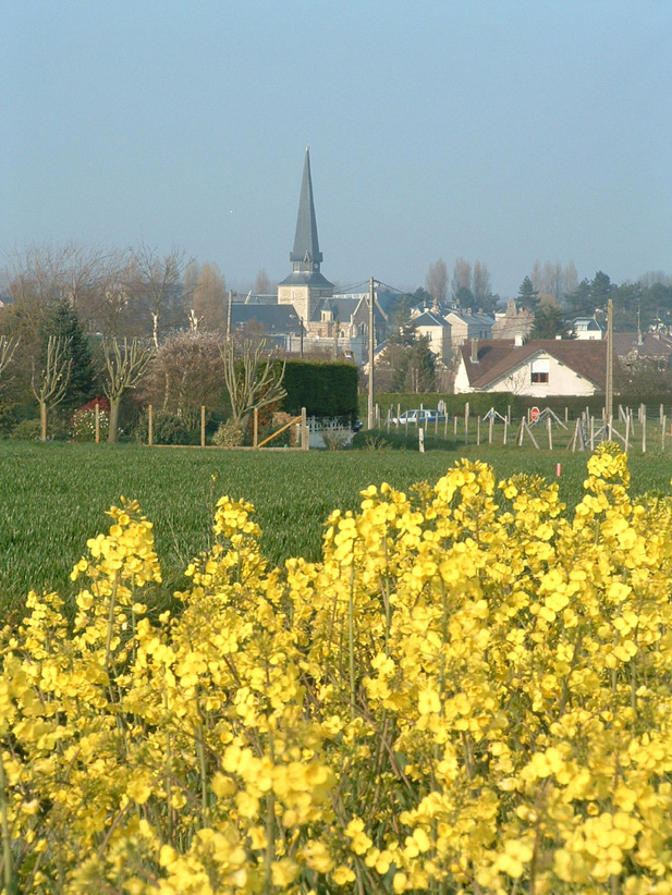 Au loin, l'église Saint-Martin d'Octeville-sur-Mer