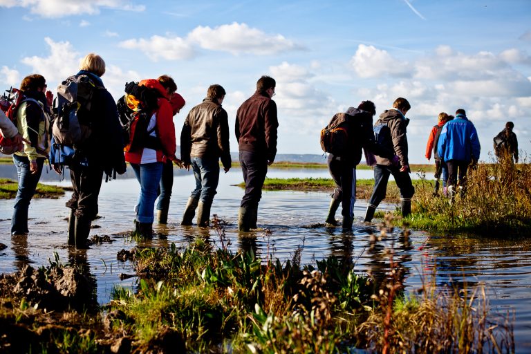 Balade réserve naturelle de l'estuaire de la Seine