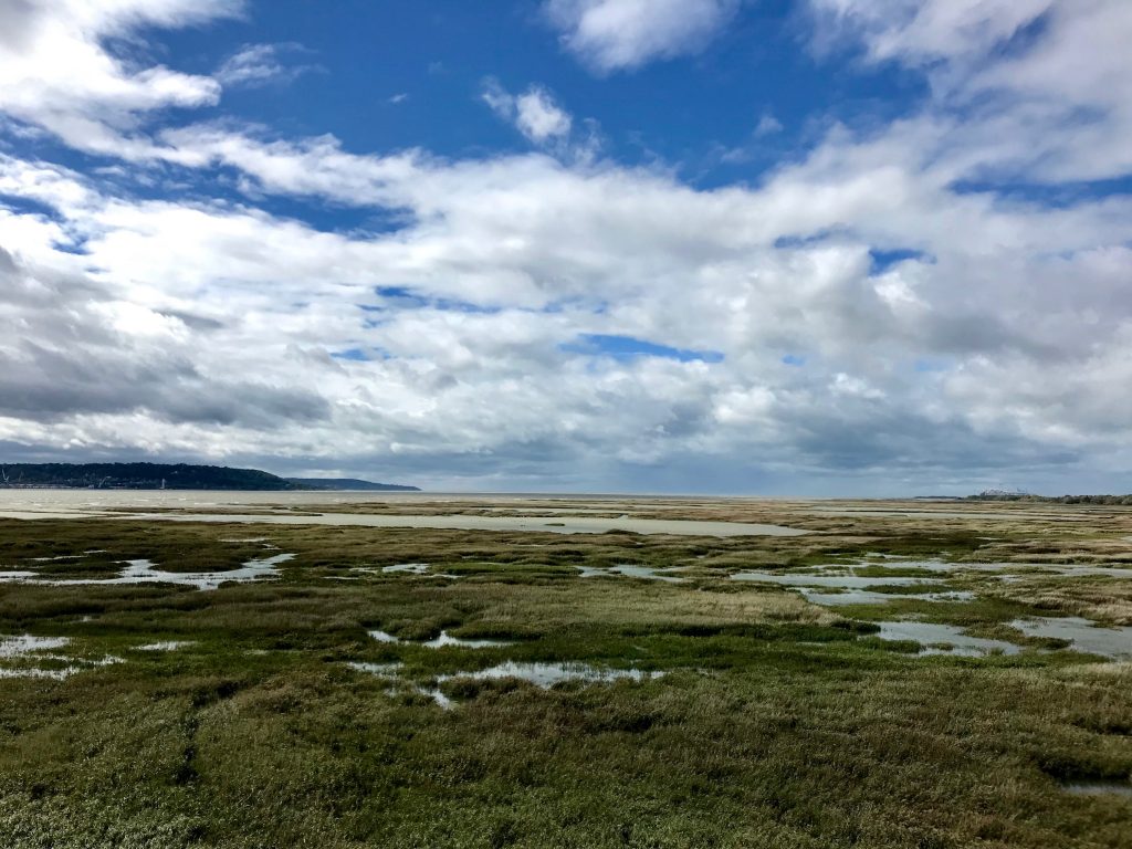 Decouverte reserve estuaire Seine