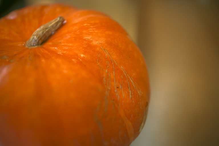 LA GRANDE ECOLE ATELIER CUISINE COULEURS D'AUTOMNE