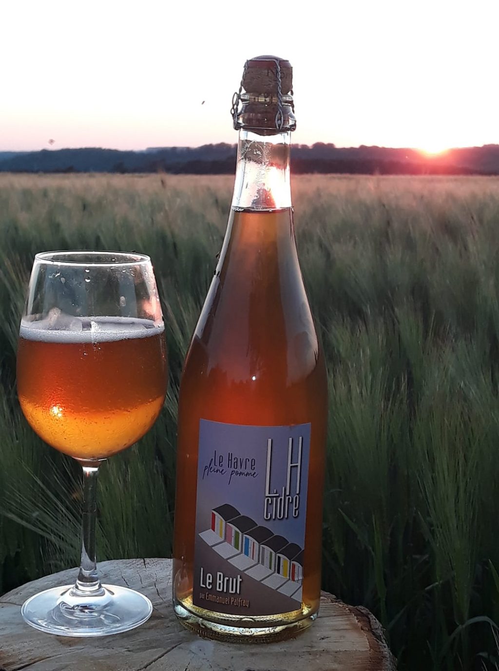 Bouteille de cidre Normandises du Pradon