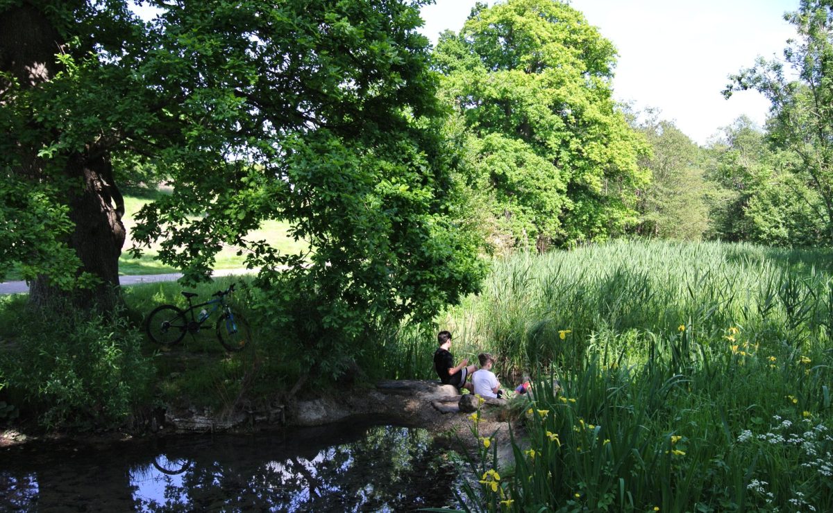 Parc de Rouelles