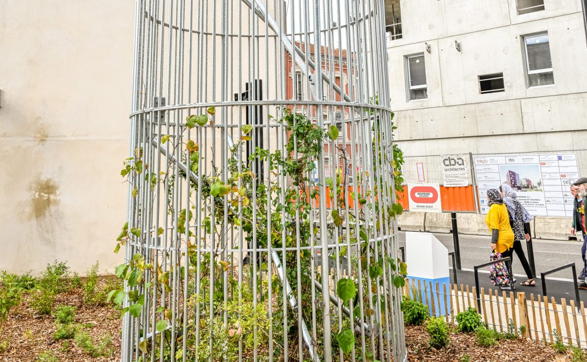 Volubile pour Aime de Evor Oeuvre Un Ete au Havre