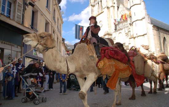 Harfleur, fête de la scie