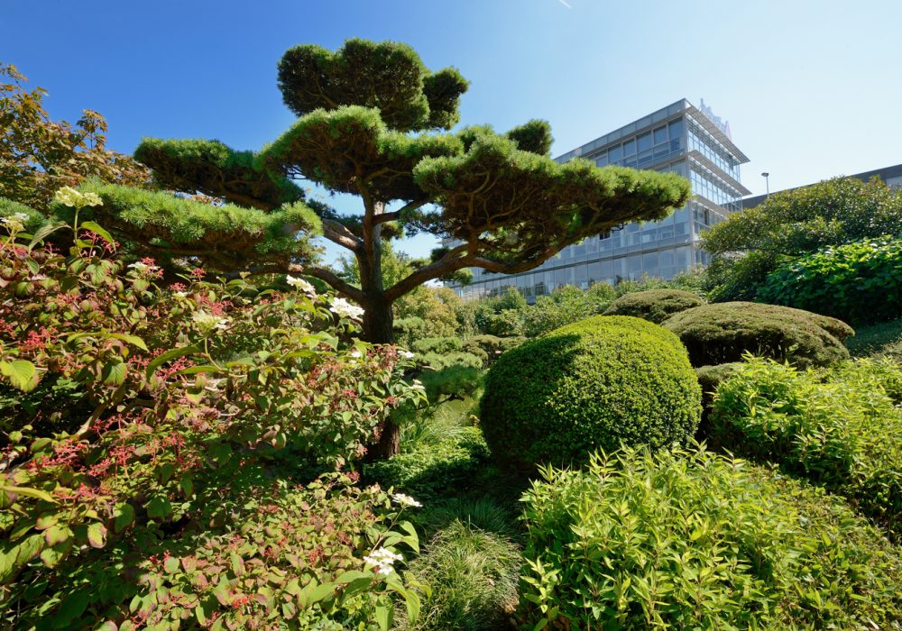 Le Jardin japonais