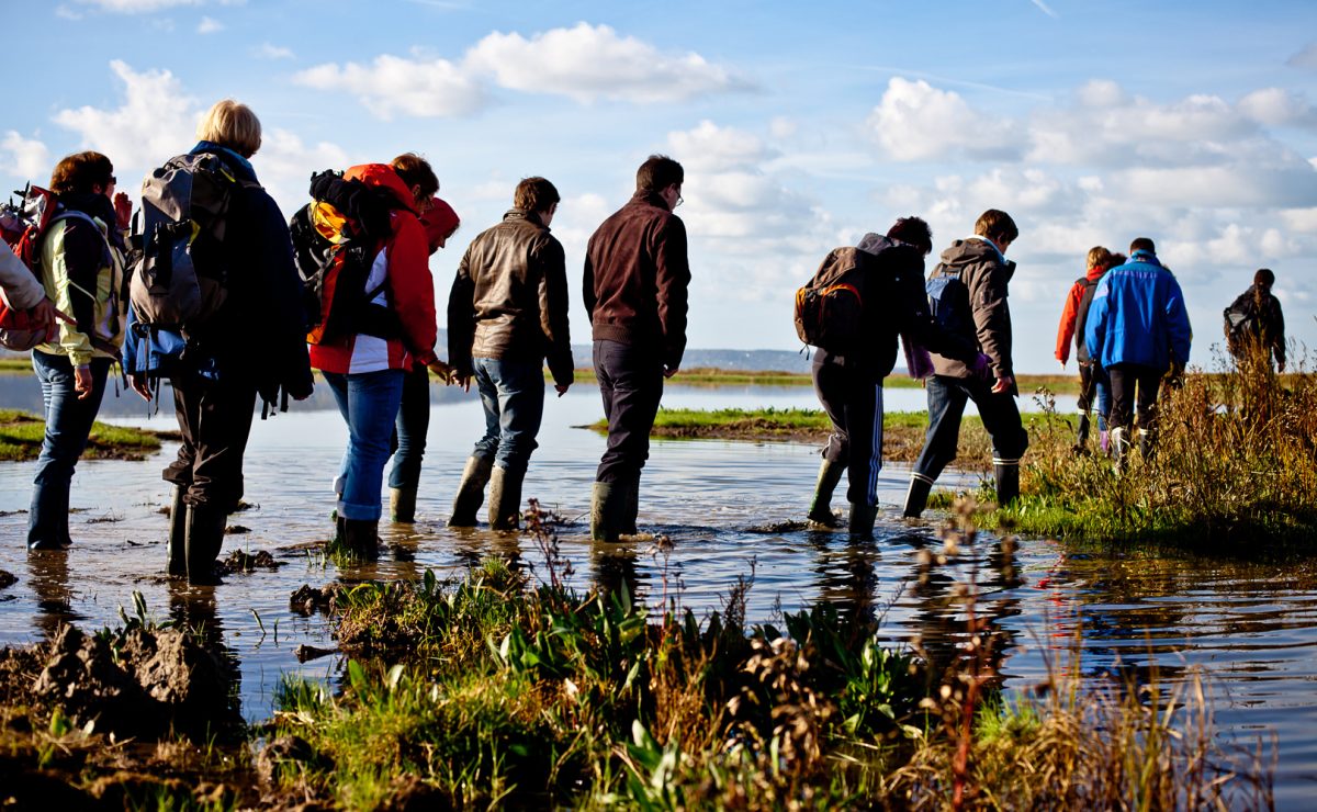 Balade réserve naturelle de l'estuaire de la Seine