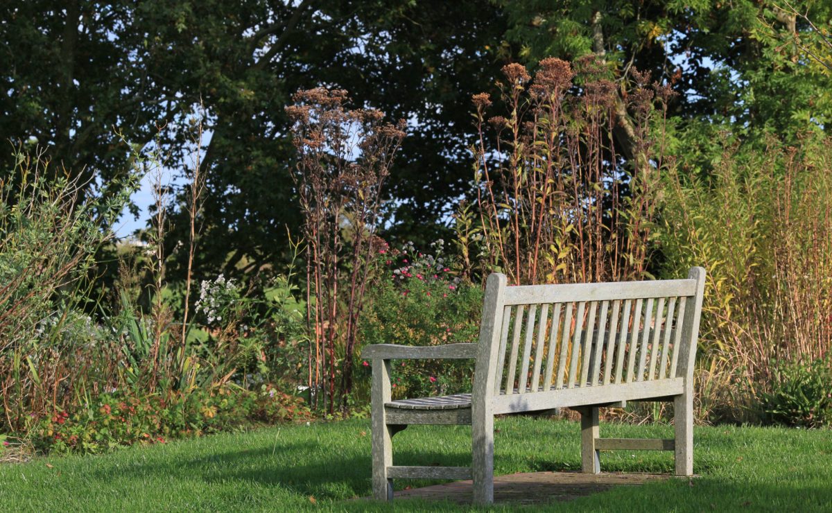 Un banc en bois entouré de verdure dans les Jardins Suspendus