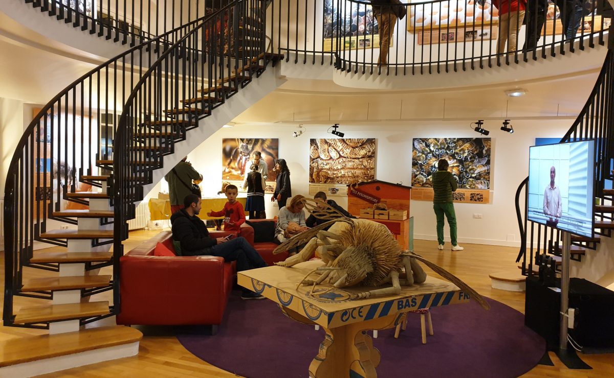 Le Muséum d'Histoire Naturelle au Havre