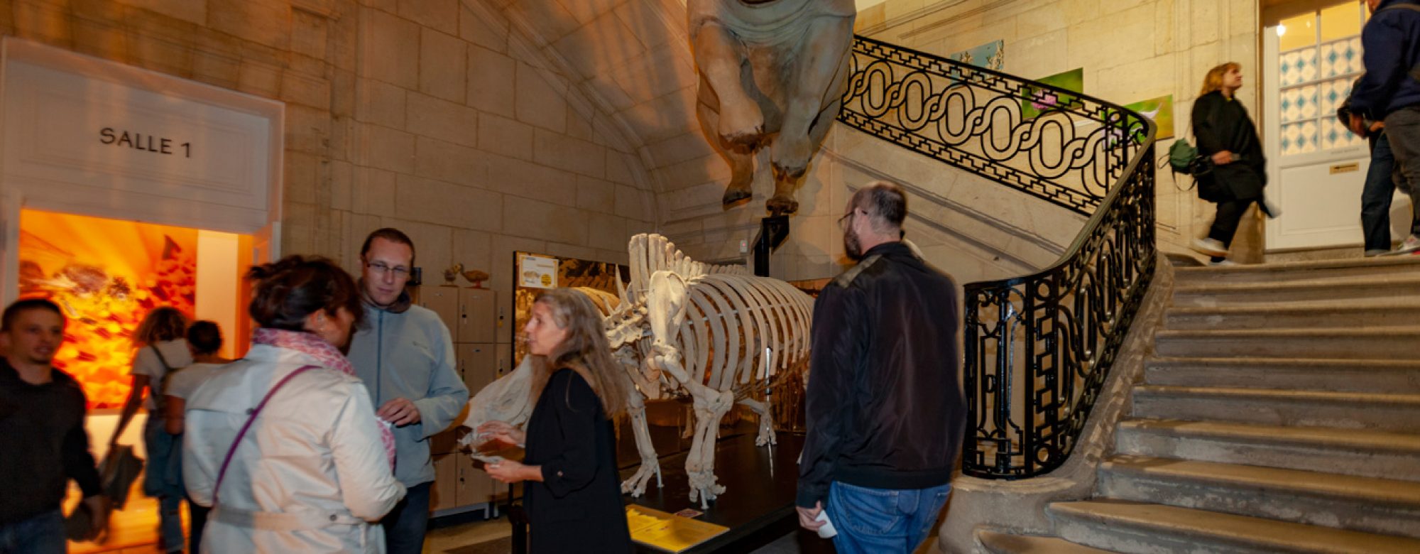 Les Nuits du Tourisme au Museum d'Histoire Naturelle